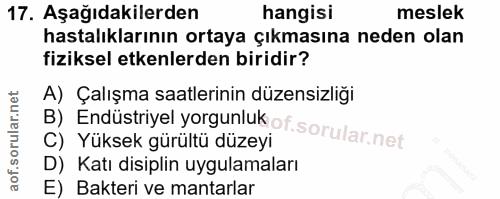 17. soru: Aşağıdakilerden hangisi meslek hastalıklarının ortaya çıkmasına neden olan fiziksel etkenlerden biridir? A) Çalışma s…