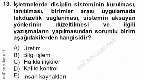 13. soru: İşletmelerde disiplin sisteminin kurulması, tanıtılması, birimler arası uygulamada tekdüzelik sağlanması, sistemin ak…