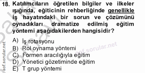 18. soru: Katılımcıların öğretilen bilgiler ve ilkeler ışığında, eğiticinin rehberliğinde genellikle iş hayatındaki bir sorun v…