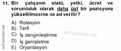 11. soru: Bir çalışanın statü, yetki, ücret ve sorumluluk olarak daha üst bir pozisyona yükseltilmesine ne ad verilir? A) Rotas…