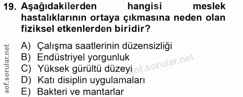 19. soru: Aşağıdakilerden hangisi meslek hastalıklarının ortaya çıkmasına neden olan fiziksel etkenlerden biridir? A) Çalışma s…