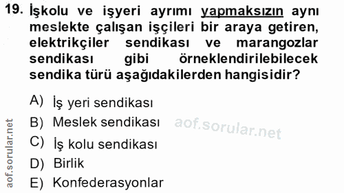 19. soru: İşkolu ve işyeri ayrımı yapmaksızın aynı meslekte çalışan işçileri bir araya getiren, elektrikçiler sendikası ve mara…