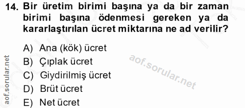 14. soru: Bir üretim birimi başına ya da bir zaman birimi başına ödenmesi gereken ya da kararlaştırılan ücret miktarına ne ad v…