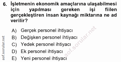 6. soru: İşletmenin ekonomik amaçlarına ulaşabilmesi için yapılması gereken işi fiilen gerçekleştiren insan kaynağı miktarına…