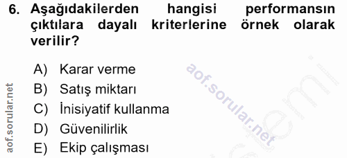 6. soru: Aşağıdakilerden hangisi performansın çıktılara dayalı kriterlerine örnek olarak verilir? A) Karar verme B) Satış mikt…