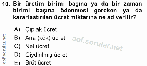 10. soru: Bir üretim birimi başına ya da bir zaman birimi başına ödenmesi gereken ya da kararlaştırılan ücret miktarına ne ad v…