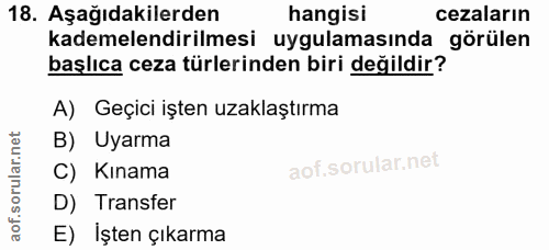 18. soru: Aşağıdakilerden hangisi cezaların kademelendirilmesi uygulamasında görülen başlıca ceza türlerinden biri değildir? A)…