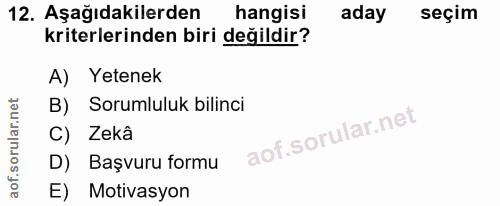 12. soru: Aşağıdakilerden hangisi aday seçim kriterlerinden biri değildir? A) Yetenek B) Sorumluluk bilinci C) Zekâ D) Başvuru…