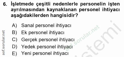 6. soru: İşletmede çeşitli nedenlerle personelin işten ayrılmasından kaynaklanan personel ihtiyacı aşağıdakilerden hangisidir?…