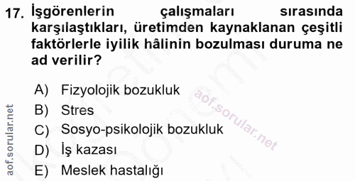 17. soru: İşgörenlerin çalışmaları sırasında karşılaştıkları, üretimden kaynaklanan çeşitli faktörlerle iyilik hâlinin bozulmas…