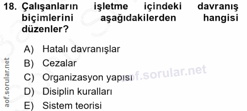 18. soru: Çalışanların işletme içindeki davranış biçimlerini aşağıdakilerden hangisi düzenler? A) Hatalı davranışlar C) Organiz…