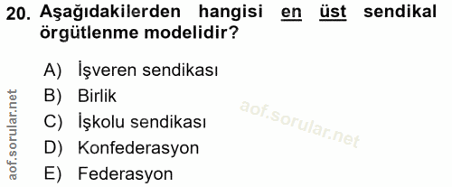 20. soru: Aşağıdakilerden hangisi en ust sendikal örgütlenme modelidir? A) Işveren sendikası B) Birlik C) İşkolu sendikası D) K…