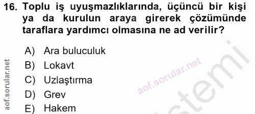 16. soru: Toplu iş uyuşmazlıklarında, üçüncü bir kişi ya da kurulun araya girerek çözümünde taraflara yardımcı olmasına ne ad v…