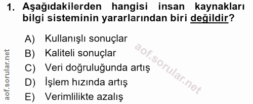 1. soru: Aşağıdakilerden hangisi insan kaynakları bilgi sisteminin yararlarından biri değildir? A) Kullanışlı sonuçlar B) Kali…