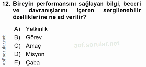 12. soru: Bireyin performansını sağlayan bilgi, beceri ve davranışlarını | içeren sergilenebilir özelliklerine ne ad verilir? A…