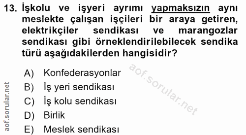 13. soru: İşkolu ve işyeri ayrımı yapmaksızın aynı meslekte çalışan işçileri bir araya getiren, elektrikçiler sendikası ve mara…
