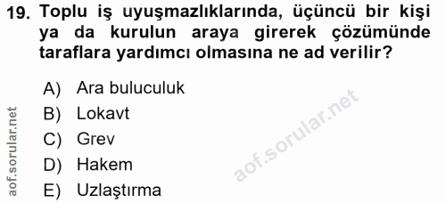 19. soru: Toplu iş uyuşmazlıklarında, üçüncü bir kişi ya da kurulun araya girerek çözümünde taraflara yardımcı olmasına ne ad v…