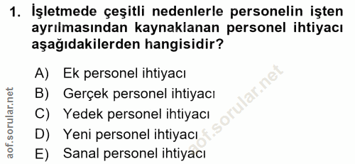 1. soru: İşletmede çeşitli nedenlerle personelin işten ayrılmasından kaynaklanan personel ihtiyacı aşağıdakilerden hangisidir?…