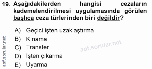 19. soru: Aşağıdakilerden hangisi cezaların kademelendirilmesi uygulamasında görülen başlıca ceza türlerinden biri değildir? A)…