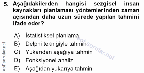 5. soru: Aşağıdakilerden hangisi sezgisel insan kaynakları planlaması yöntemlerinden zaman açısından daha uzun sürede yapılan…
