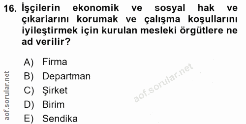 16. soru: İşçilerin ekonomik ve sosyal hak ve çıkarlarını korumak ve çalışma koşullarını iyileştirmek için kurulan mesleki örgü…