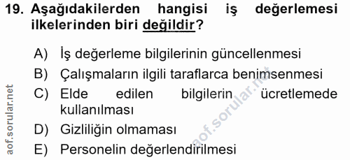 19. soru: Aşağıdakilerden hangisi is değerlemesi ilkelerinden biri değildir? A) Iş değerleme bilgilerinin güncellenmesi B) Çalı…