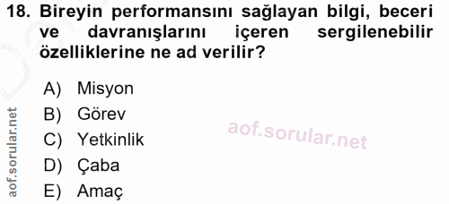 18. soru: Bireyin performansını sağlayan bilgi, beceri ve - davranışlarını içeren sergilenebilir özelliklerine ne ad verilir? A…