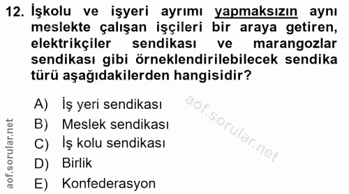 12. soru: İşkolu ve işyeri ayrımı yapmaksızın aynı meslekte çalışan işçileri bir araya getiren, elektrikçiler sendikası ve mara…