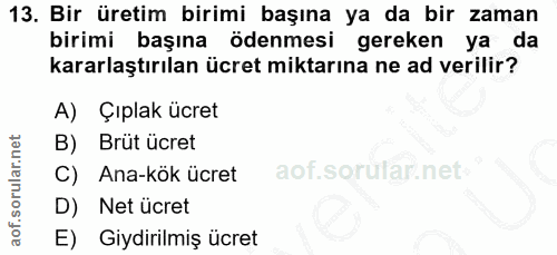 13. soru: Bir üretim birimi başına ya da bir zaman birimi başına ödenmesi gereken ya da kararlaştırılan ücret miktarına ne ad v…