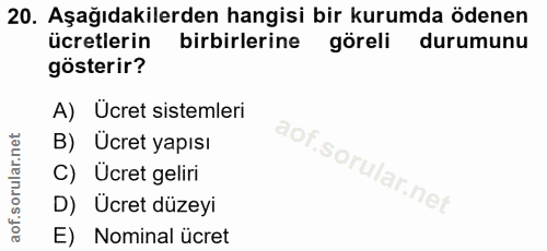 20. soru: Aşağıdakilerden hangisi bir kurumda ödenen ücretlerin birbirlerine göreli durumunu gösterir? A) Ucret sistemleri B) U…