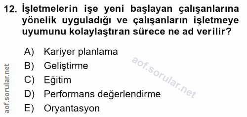 12. soru: İşletmelerin işe yeni başlayan çalışanlarına yönelik uyguladığı ve çalışanların işletmeye uyumunu kolaylaştıran sürec…