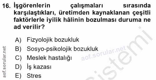 16. soru: İşgörenlerin çalışmaları sırasında karşılaştıkları, üretimden kaynaklanan çeşitli faktörlerle iyilik hâlinin bozulmas…