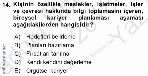 14. soru: Kişinin özellikle meslekler, işletmeler, işler ve çevresi hakkında bilgi toplamasını içeren, bireysel kariyer planlam…