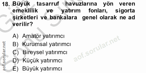 18. soru: Büyük tasarruf havuzlarına yön veren emeklilik ve yatırım fonları, sigorta şirketleri ve bankalara genel olarak ne ad…