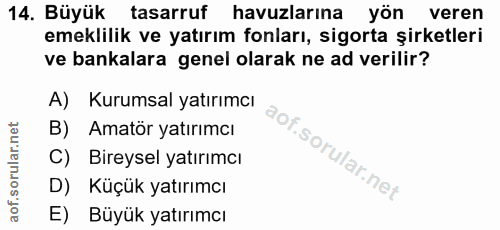 14. soru: Büyük tasarruf havuzlarına yön veren emeklilik ve yatırım fonları, sigorta şirketleri ve bankalara genel olarak ne ad…