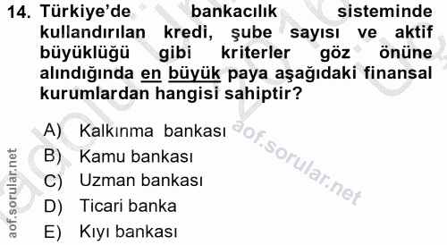 14. soru: Türkiye'de bankacılık sisteminde kullandırılan kredi, şube sayısı ve aktif büyüklüğü gibi kriterler göz önüne alındığ…