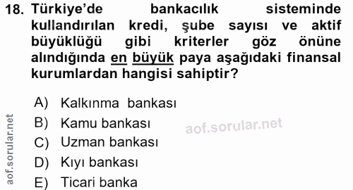 18. soru: Türkiye'de bankacılık sisteminde kullandırılan kredi, şube sayısı ve aktif büyüklüğü gibi kriterler göz önüne alındığ…