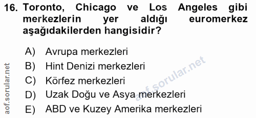 16. soru: Toronto, Chicago ve Los Angeles gibi merkezlerin yer aldığı euromerkez aşağıdakilerden hangisidir? A) Avrupa merkezle…