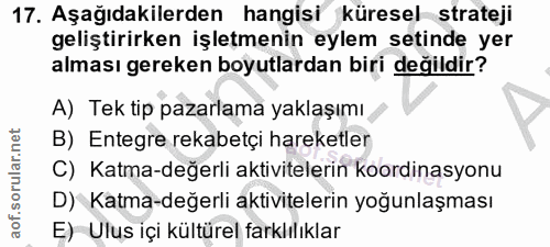 17. soru: Aşağıdakilerden hangisi küresel strateji geliştirirken işletmenin eylem setinde yer alması gereken boyutlardan biri d…