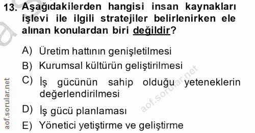 13. soru: Aşağıdakilerden hangisi insan kaynakları işlevi ile ilgili stratejiler belirlenirken ele alınan konulardan biri değil…