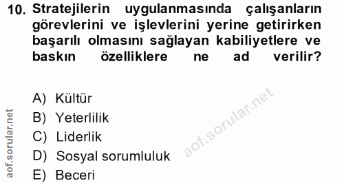 10. soru: Stratejilerin uygulanmasında çalışanların görevlerini ve işlevlerini yerine getirirken başarılı olmasını sağlayan kab…