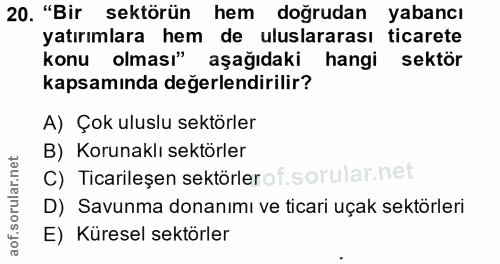 20. soru: "Bir sektörün hem doğrudan yabancı yatırımlara hem de uluslararası ticarete konu olması" aşağıdaki hangi sektör kapsa…
