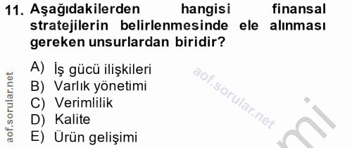 11. soru: Aşağıdakilerden hangisi finansal stratejilerin belirlenmesinde ele alınması gereken unsurlardan biridir? A) İş gücü i…