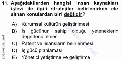 11. soru: Aşağıdakilerden hangisi insan kaynakları işlevi ile ilgili stratejiler belirlenirken ele alınan konulardan biri değil…