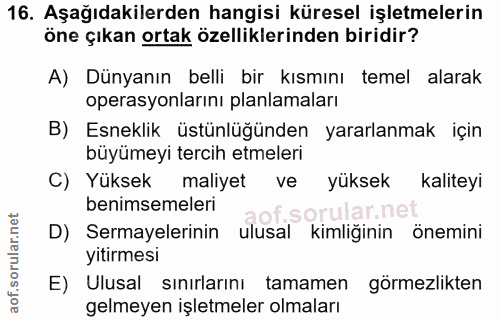 16. soru: Aşağıdakilerden hangisi küresel işletmelerin öne çıkan ortak özelliklerinden biridir? A) Dünyanın belli bir kısmını t…