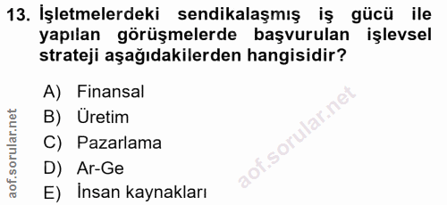 13. soru: İşletmelerdeki sendikalaşmış iş gücü ile yapılan görüşmelerde başvurulan işlevsel strateji aşağıdakilerden hangisidir…