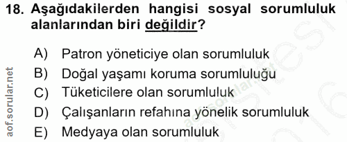 18. soru: Aşağıdakilerden hangisi sosyal sorumluluk alanlarından biri değildir? A) Patron yöneticiye olan sorumluluk B) Doğal y…