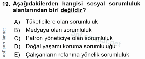 19. soru: Aşağıdakilerden hangisi sosyal sorumluluk alanlarından biri değildir? A) Tüketicilere olan sorumluluk B) Medyaya olan…