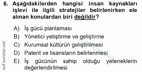 6. soru: Aşağıdakilerden hangisi insan kaynakları işlevi ile ilgili stratejiler belirlenirken ele alınan konulardan biri değil…