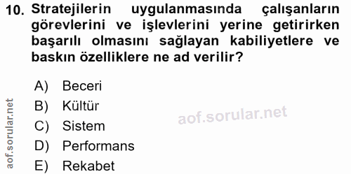 10. soru: Stratejilerin uygulanmasında çalışanların görevlerini ve işlevlerini yerine getirirken başarılı olmasını sağlayan kab…
